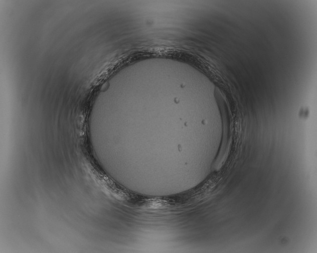 X0000114620750200911101214