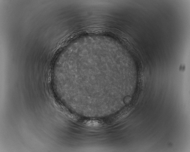 X0000114620751200911101214
