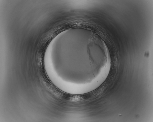 X0000114620754200911101214