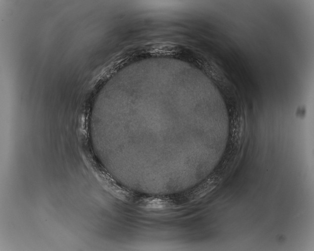 X0000114620755200911101214
