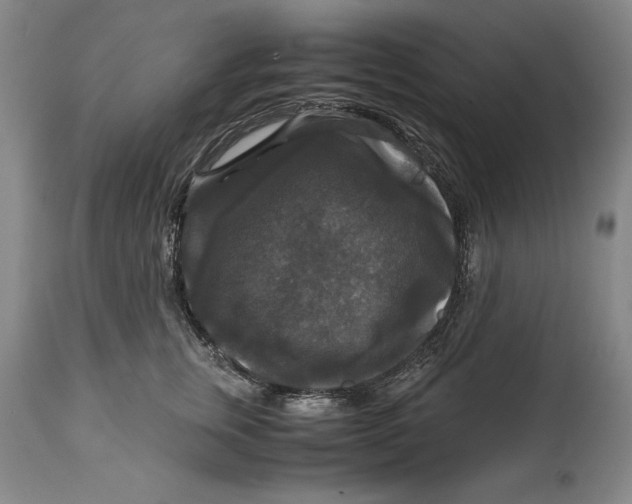 X0000114620759200911101214