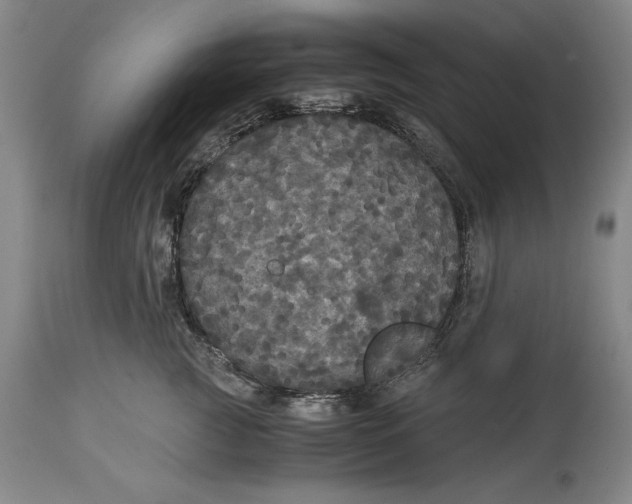 X0000114620761200911101214
