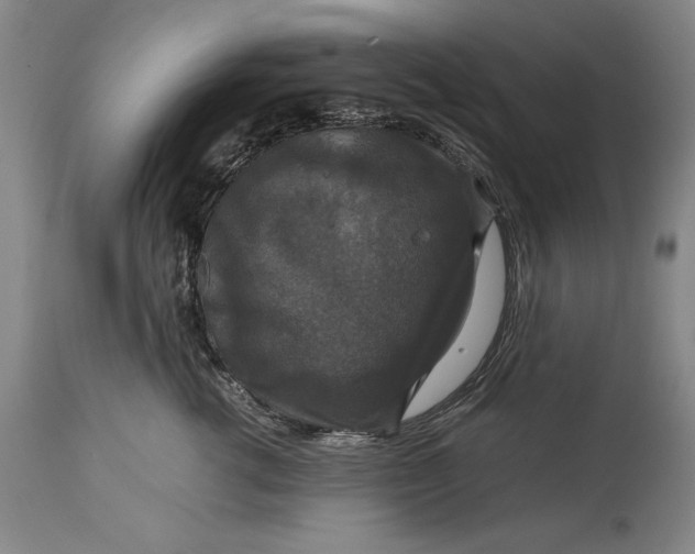 X0000114620762200911101214