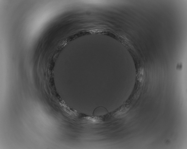 X0000114620763200911101214