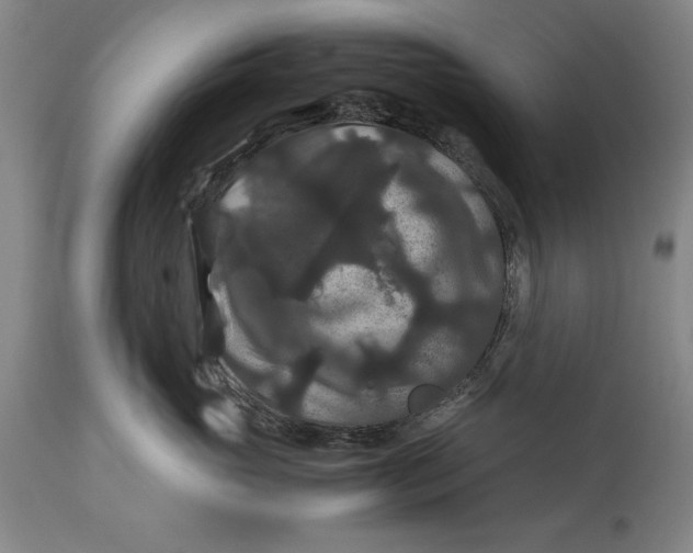 X0000114620765200911101214