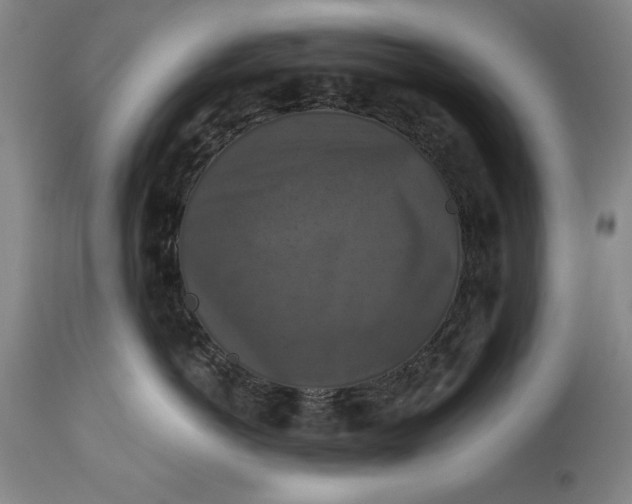 X0000114620766200911101214