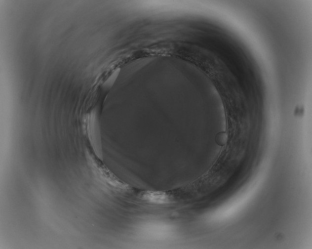 X0000114620767200911101214