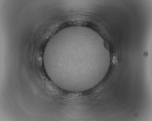 X0000114620771200911101213