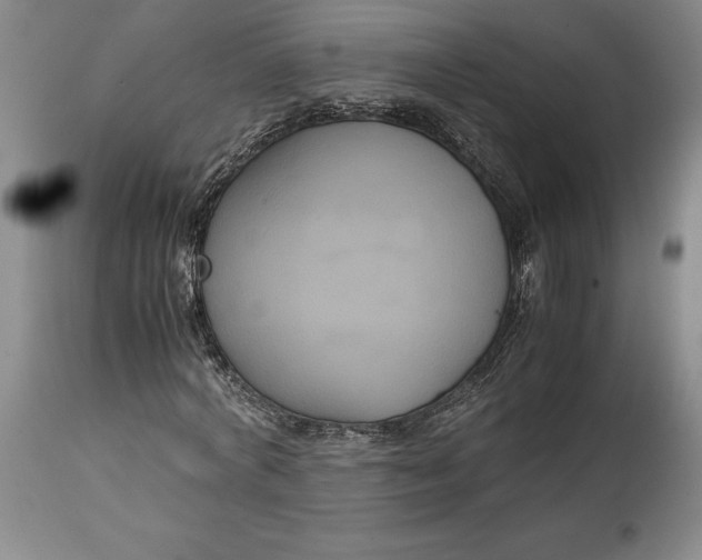 X0000114620772200911101213