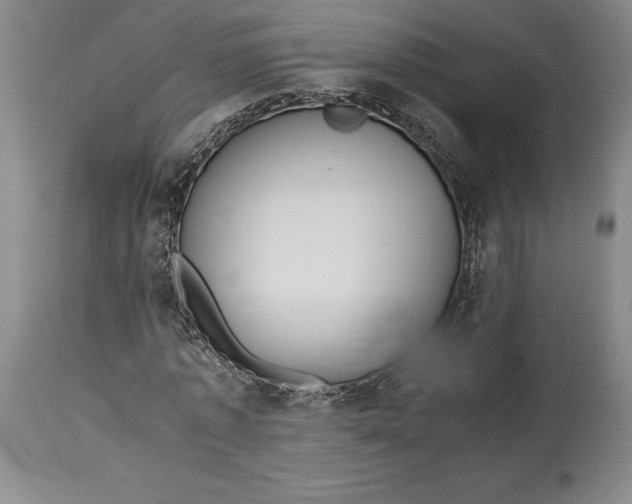 X0000114620773200911101213