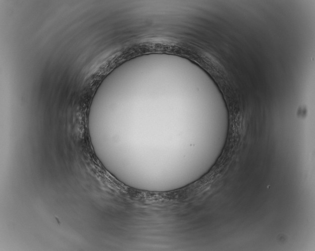 X0000114620774200911101213