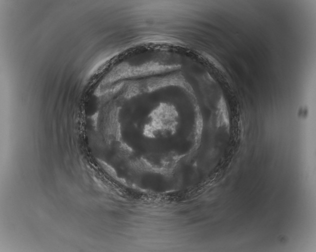 X0000114620775200911101213