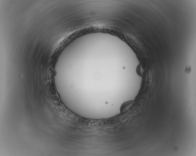 X0000114620776200911101213
