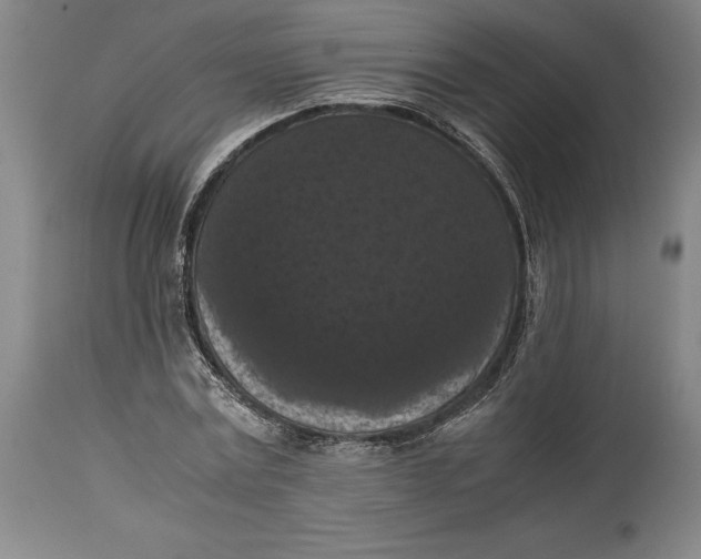 X0000114620779200911101213