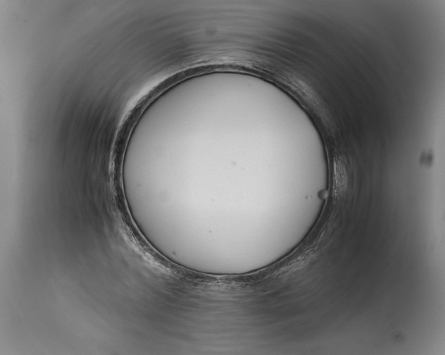 X0000114620780200911101213