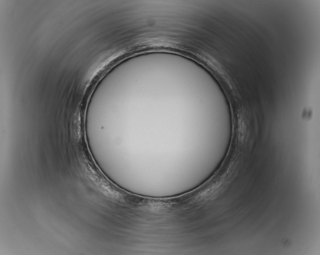 X0000114620782200911101213