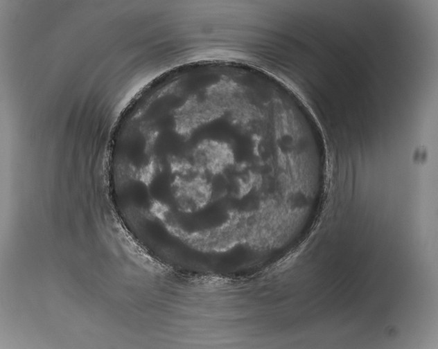 X0000114620783200911101213
