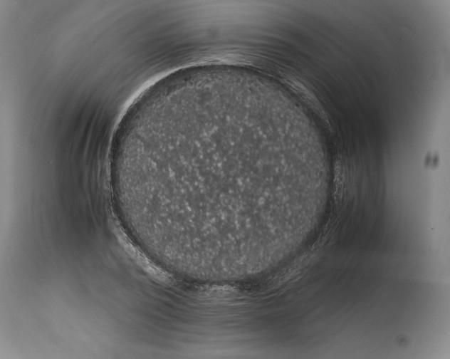 X0000114620784200911101213
