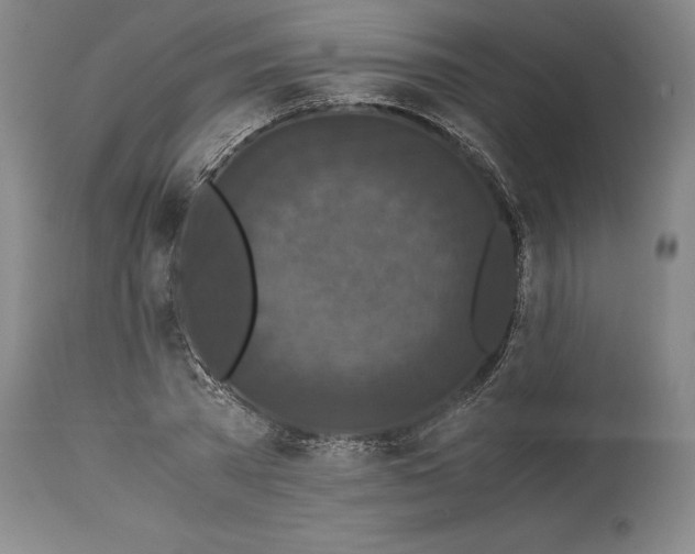 X0000114620785200911101213