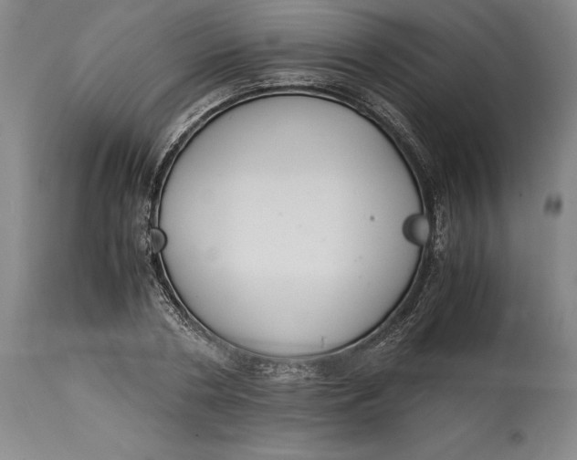 X0000114620786200911101213