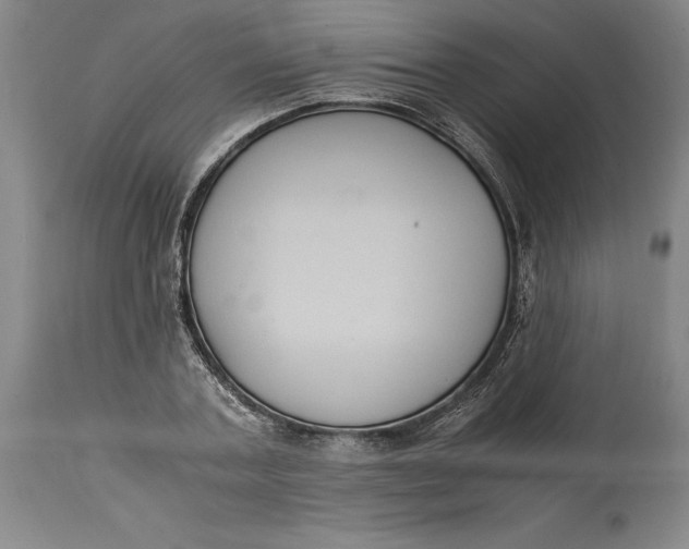 X0000114620787200911101213