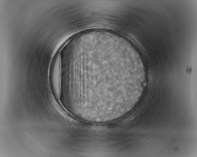 X0000114620788200911101213