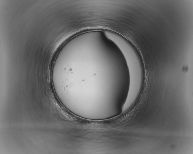 X0000114620789200911101213