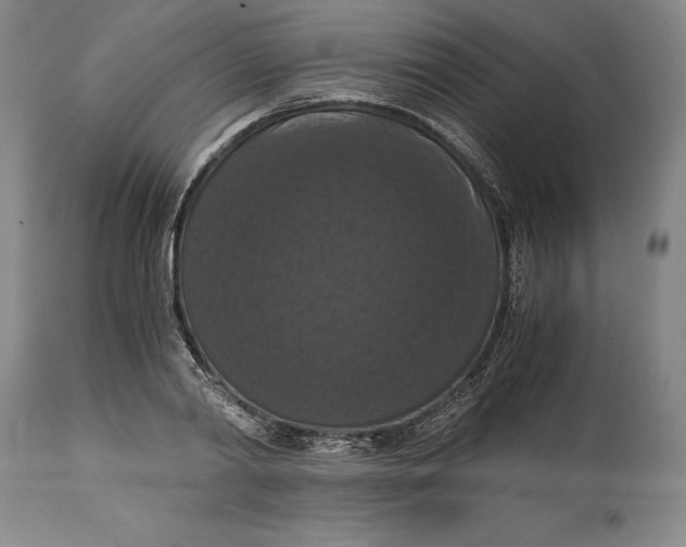 X0000114620790200911101213