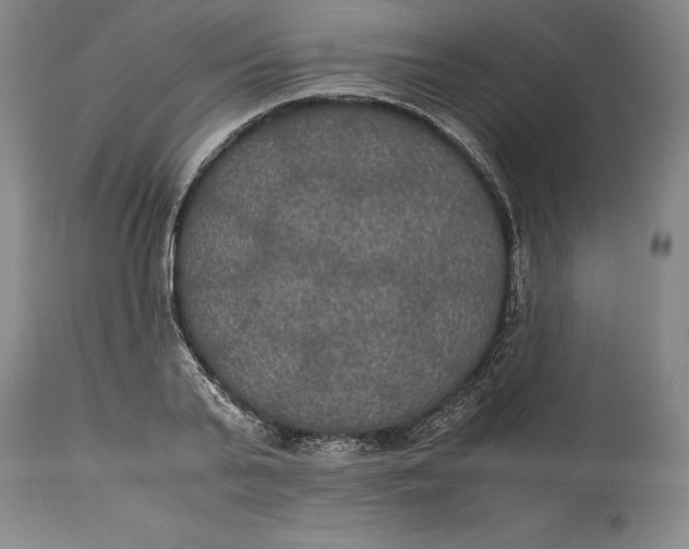 X0000114620791200911101213