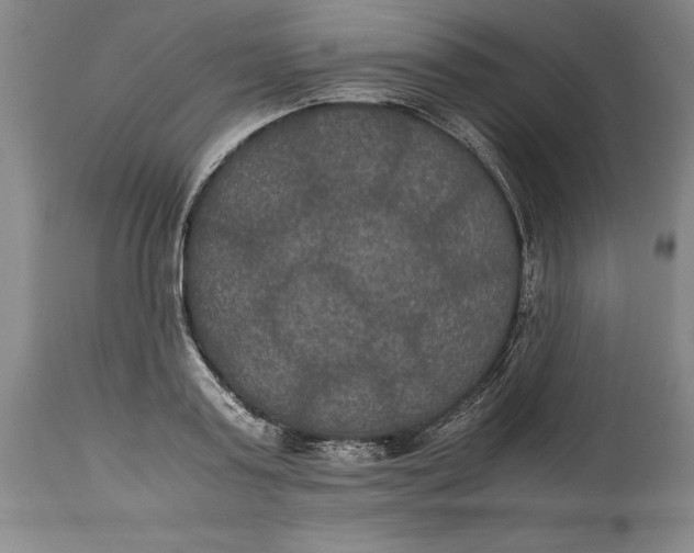 X0000114620795200911101213