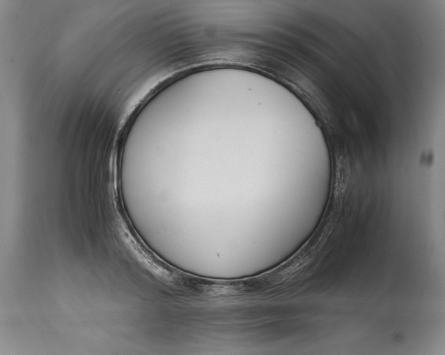 X0000114620796200911101213