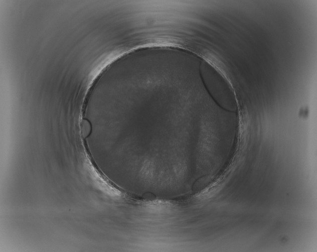 X0000114620797200911101213