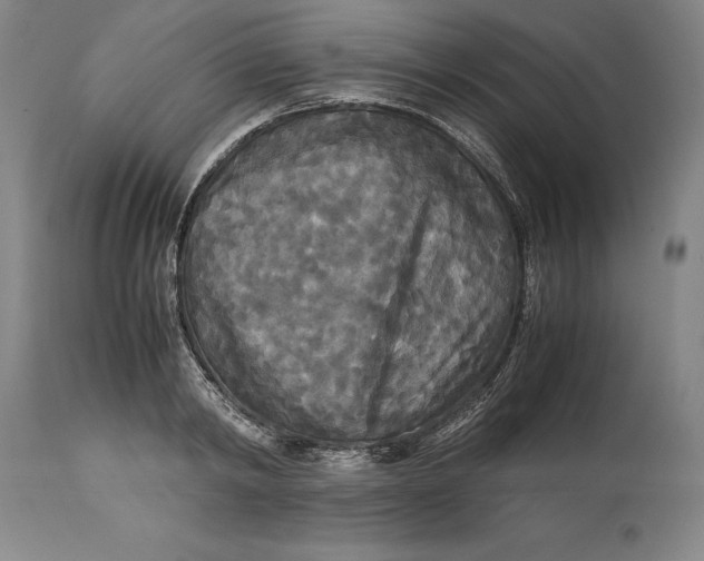 X0000114620798200911101213
