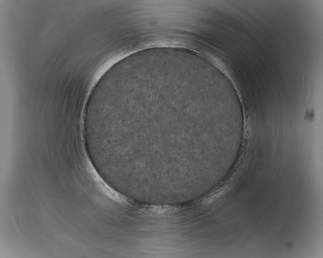 X0000114620803200911101213
