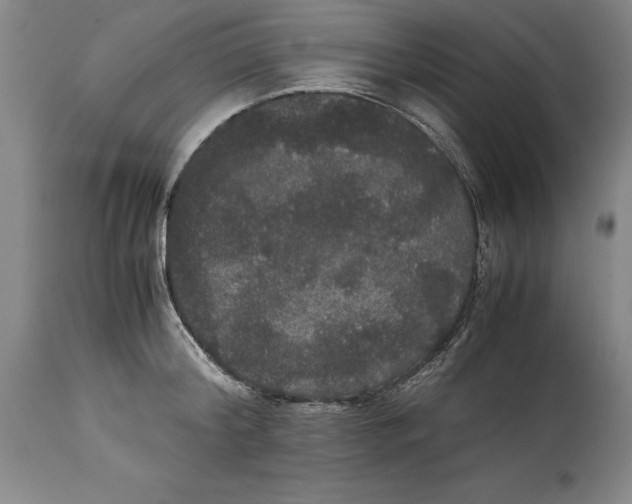 X0000114620804200911101213