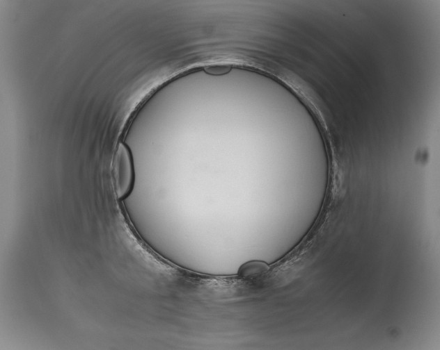 X0000114620805200911101213