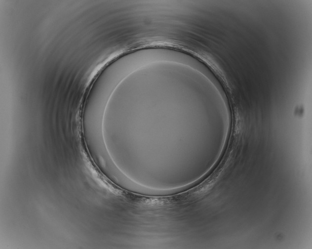 X0000114620806200911101213