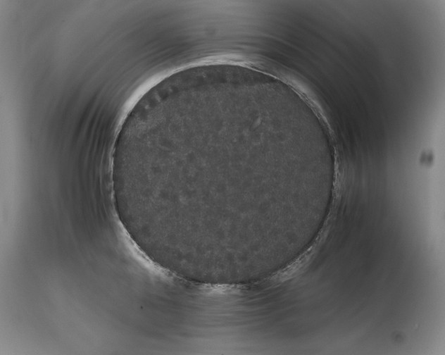 X0000114620808200911101213