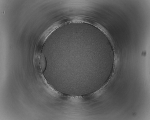 X0000114620809200911101213