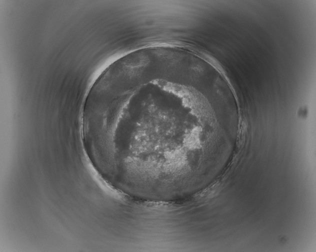 X0000114620811200911101213
