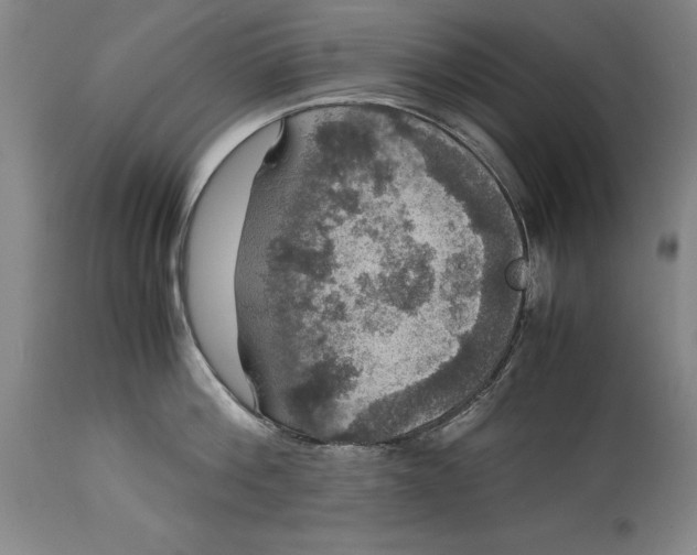 X0000114620812200911101213