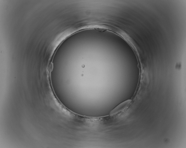 X0000114620813200911101213