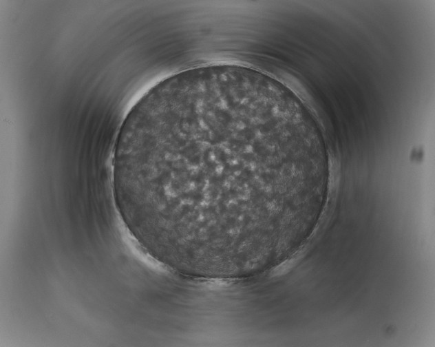X0000114620814200911101213