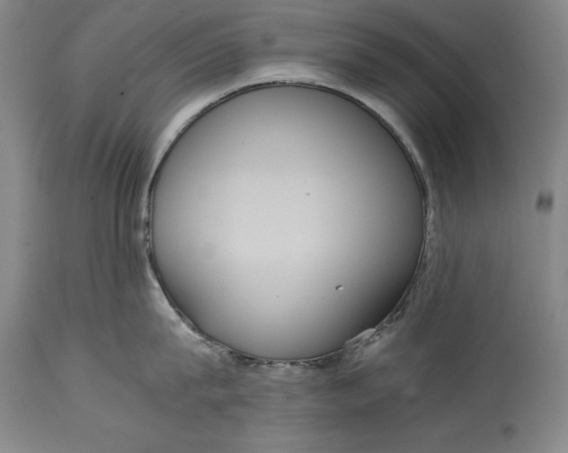 X0000114620815200911101213