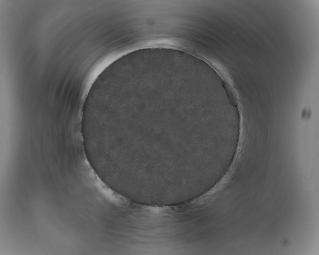 X0000114620816200911101213