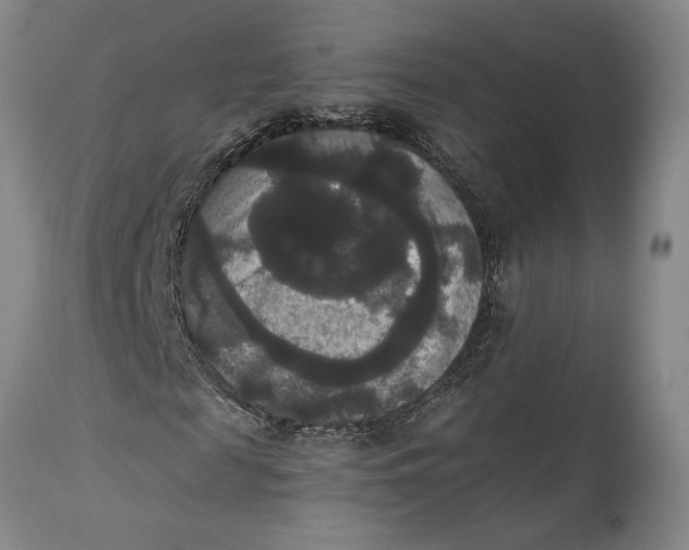 X0000114620817200911101212
