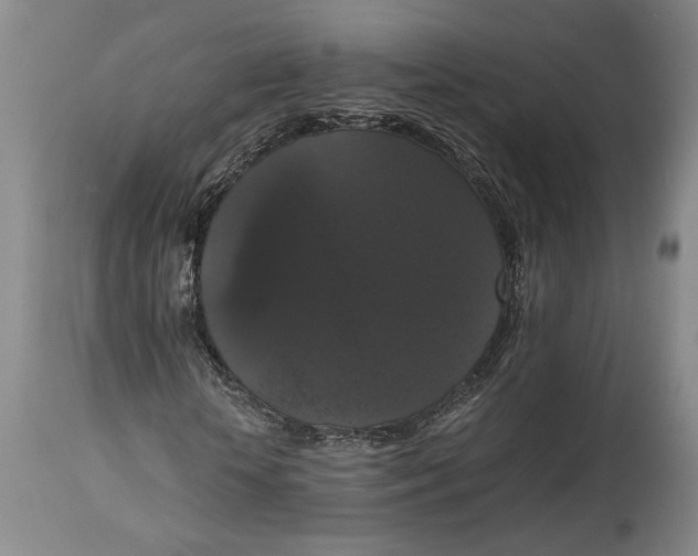 X0000114620818200911101212