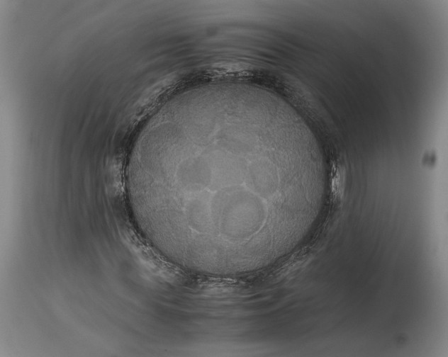 X0000114620819200911101212