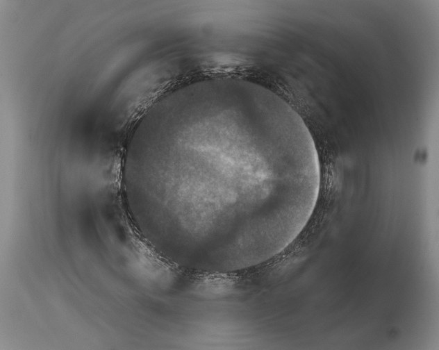 X0000114620820200911101212
