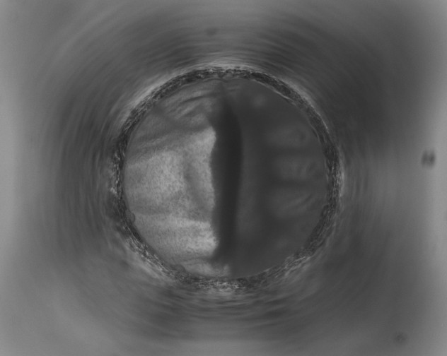 X0000114620823200911101212